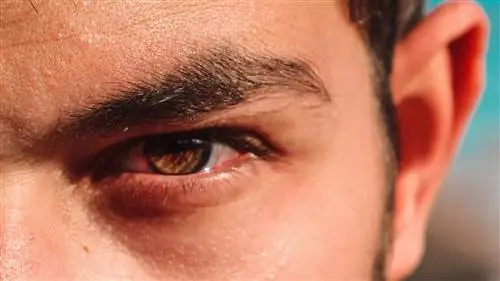 Исследование: эгоистичные люди сразу же стремятся использовать доброту в других