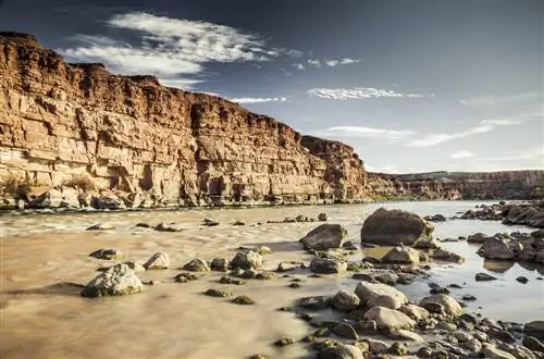 Как пополнить экосистему