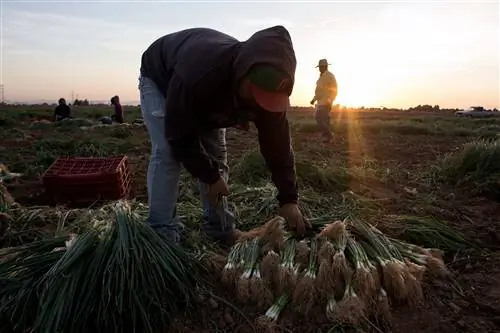 Изменение климата сделает работу на открытом воздухе более опасной