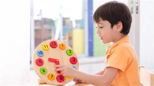 Течение времени не является врожденным опытом у детей