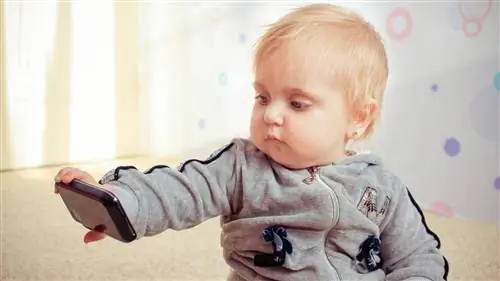 Треть младенцев используют смартфоны, прежде чем ходить или говорить