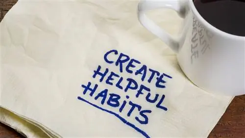 Чтобы избавиться от вредных привычек, вы должны создать новые