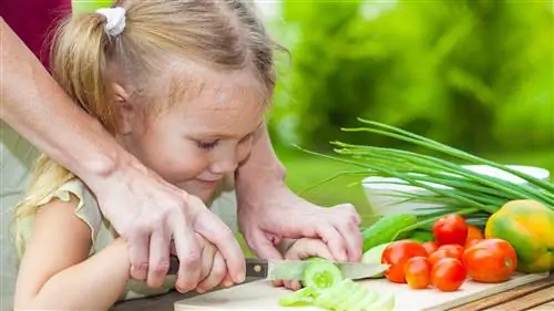 Воздействие здоровой пищи в детстве ведет к здоровому выбору во взрослой жизни