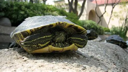 При неправильном использовании позитивное мышление может привести нас к поражению