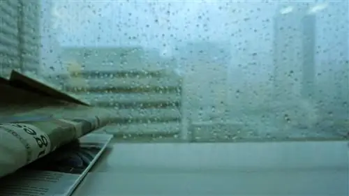 Дождливые дни помогают повысить производительность