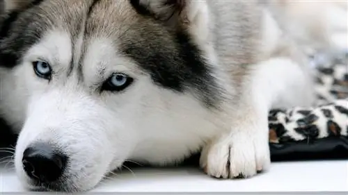 Моменты скуки могут помочь вам проявить творческий подход