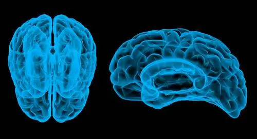 Нашему мозгу не нужно было развиваться, так почему же это произошло?