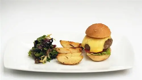 язык жестов обезьяны