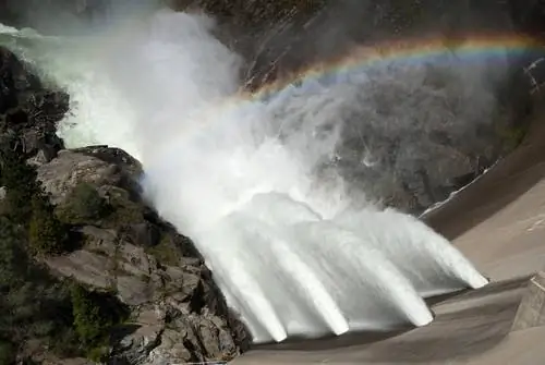 белок больной мозг