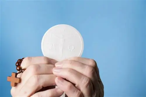 Ватикан: Подписывайтесь на Папу в Твиттере, чтобы скорее попасть на небеса