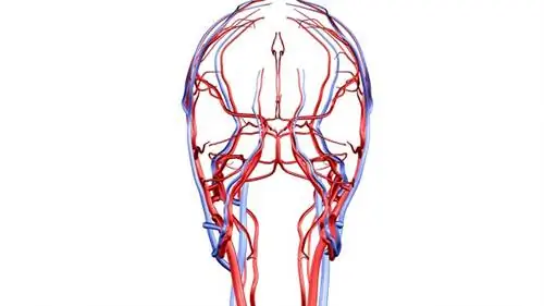 Почему США опережают богатые страны по количеству смертей от отчаяния