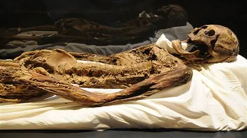 Будет ли когда-нибудь найдена затерянная гробница Чингисхана?