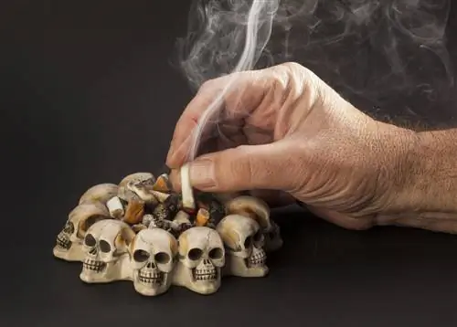 Давай, смейся на похоронах. Ницше говорит, что это нормально