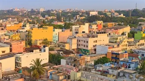 3 правила поймать лжеца