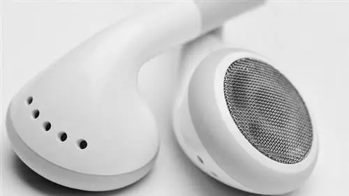 Исследования вызывают пересмотр ведущей теории сознания