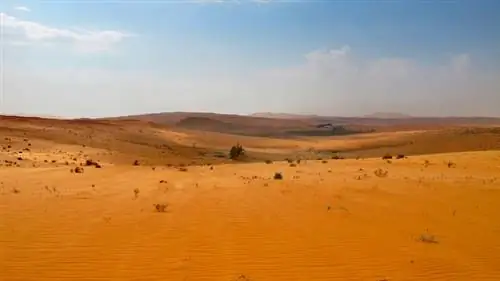 Студенты слушают лекцию в актовом зале колледжа.