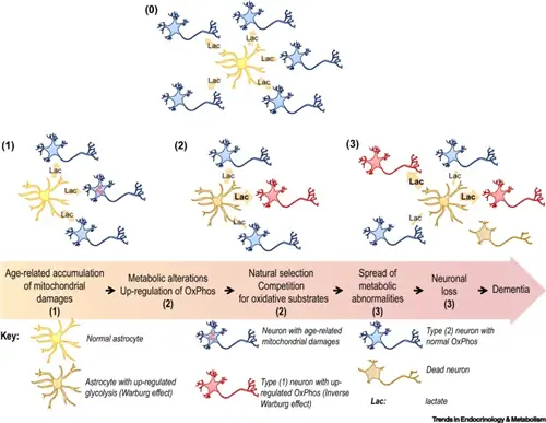 болезнь альцгеймера