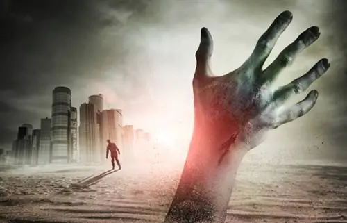 «Обзорный эффект» - весомый повод ускорить освоение космоса