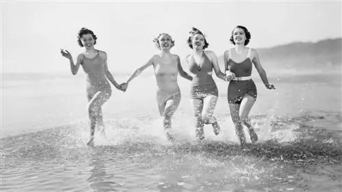 Пандо, самый большой организм в мире, перестал расти