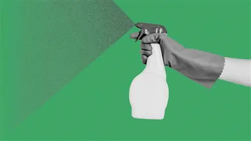 Действительно ли «зеленые» чистящие средства менее токсичны, чем традиционные продукты?