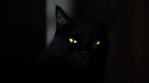 Вы сердитесь или подавлены? Знание разницы может спасти вам жизнь