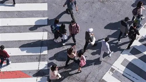 Как наш мозг ориентируется в городах