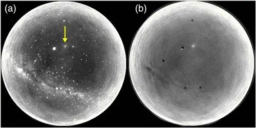 натриевый хвост