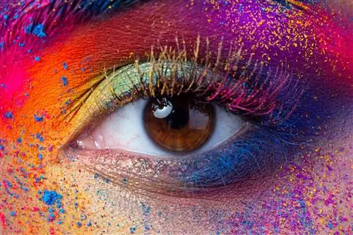 Цвета вызывают одинаковые эмоции во всем мире, показало исследование