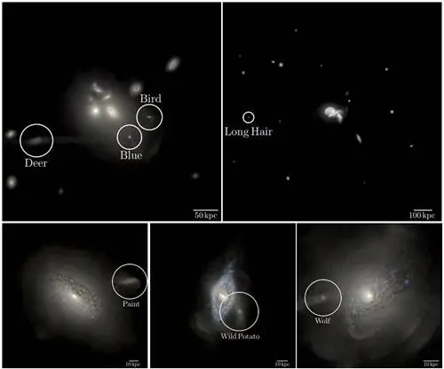 галактики без темной материи