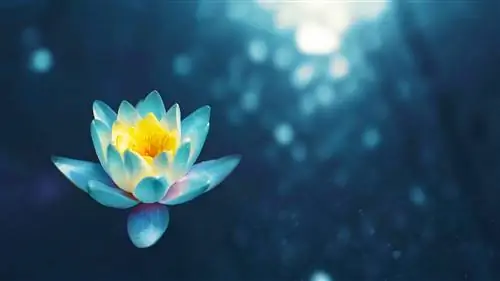 Мы существуем благодаря хиральности и асимметрии жизни