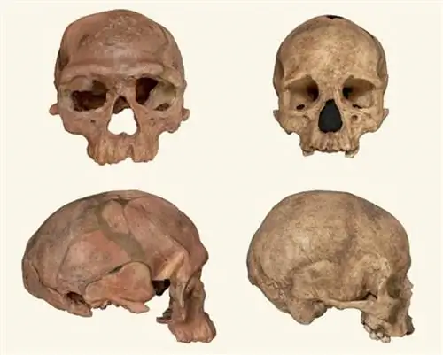 первые люди