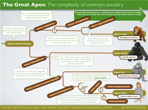 первые люди