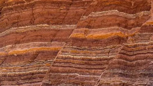 Каждые 27,5 миллионов лет сердце Земли катастрофически бьется