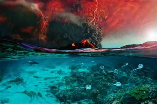 Обнаружена причина худшего массового вымирания