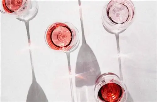 Да, вы можете видеть звуки - это называется киматика