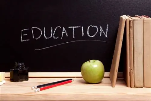 Границы субатомной физики