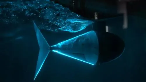 Чему роботы могут научиться у рыб и сложной математики