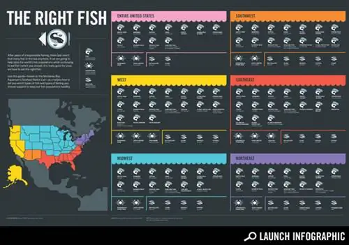 Возвращение в четверг: из чего сделано Солнце?