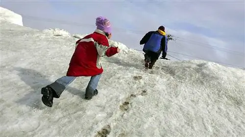 Полярный круг был теплее, чем в Альтурасе, штат Калифорния, в воскресенье