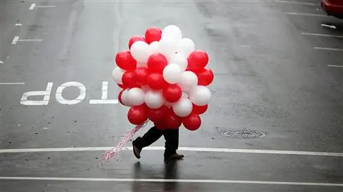 Что нужно, чтобы выиграть День святого Валентина, будь то одиночка или пара