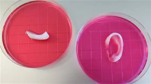 Биопечать сделает списки донорских органов делом прошлого