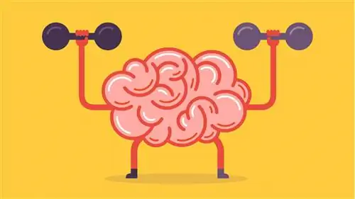 Крайне сомнительная наука, стоящая за увлечением тренировкой мозга