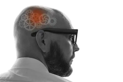 Были травмированы? Вот как ПТСР перестраивает мозг