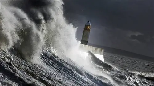 Нетеисты меньше верят в «случайную эволюцию» после просмотра документальных фильмов о природе