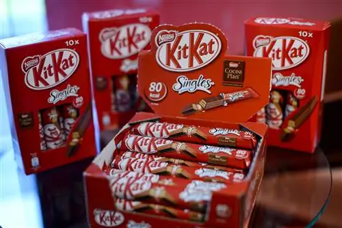 Nestlé утверждает, что может сократить количество сахара в шоколаде без ущерба для вкуса