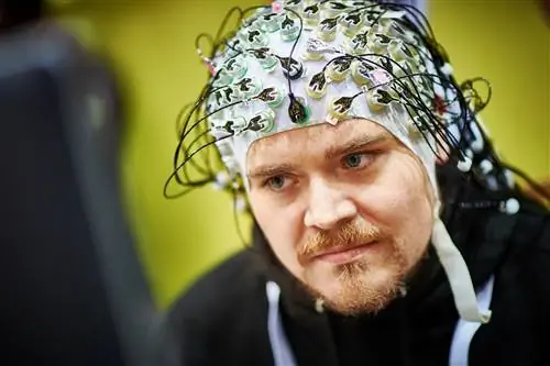 Исследователи управляют животным с помощью человеческих мыслей