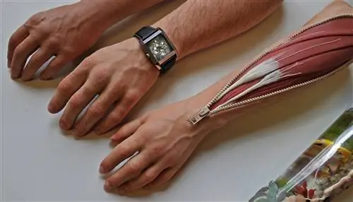 Стартап обещает бессмертие благодаря искусственному интеллекту, нанотехнологиям и клонированию