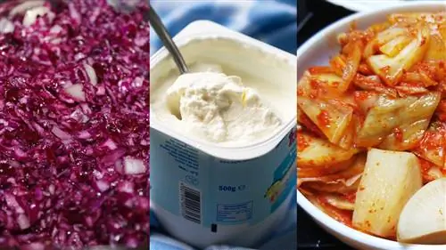 Ферментированные продукты защищают от гриппа