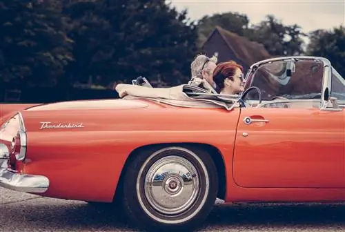 Как мысль Шопенгауэра может пролить свет на кризис среднего возраста