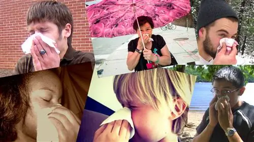 Это может быть началом конца раздражающих симптомов аллергии